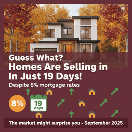 Facebook Publish Pro Case Study Image