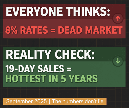 X Publish Pro Case Study Image